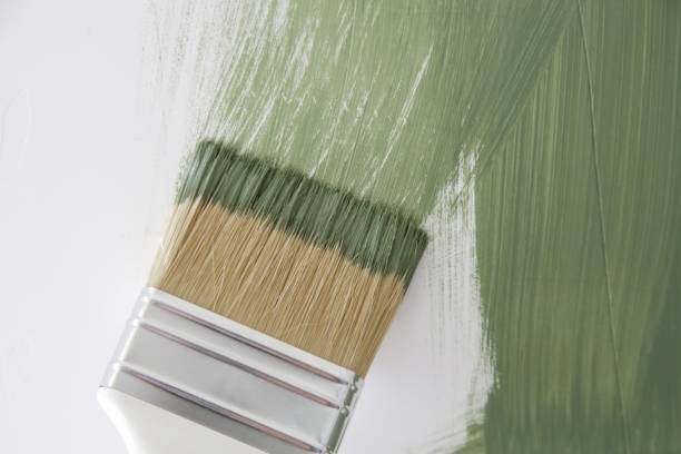  Eleele, HI Mold Removal Pros