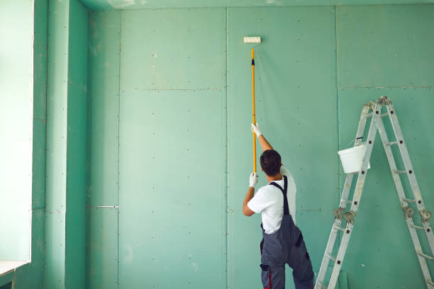 Best Post-Construction Mold Inspection  in Eleele, HI