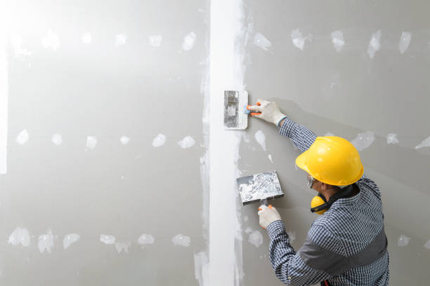 Best Crawl Space Mold Remediation  in Eleele, HI