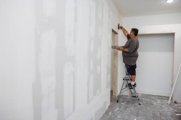 Best Mold Documentation for Insurance Claims  in Eleele, HI