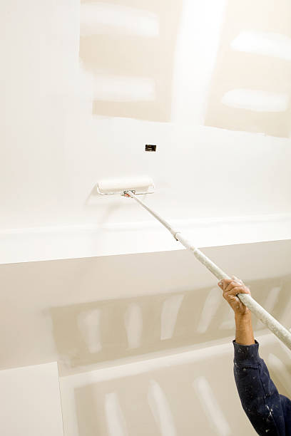 Trusted Eleele, HI Mold Removal Experts