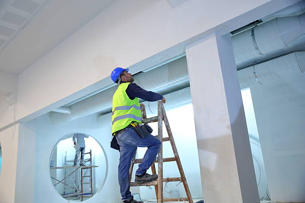 Best Commercial Mold Inspection  in Eleele, HI