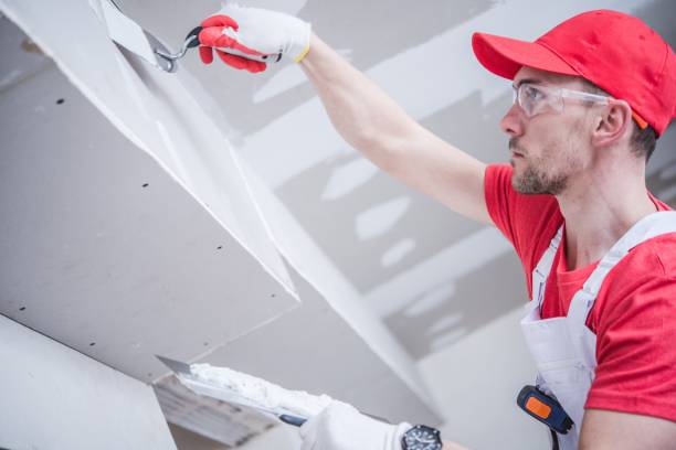 Best Dehumidification Services  in Eleele, HI