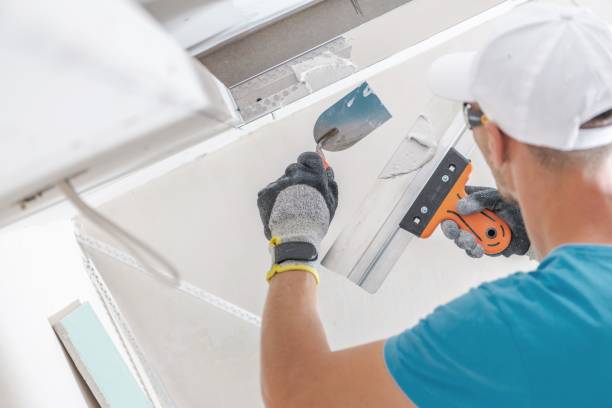 Best Residential Mold Inspection & Testing  in Eleele, HI
